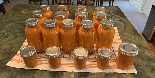 apricot 4a.jpg